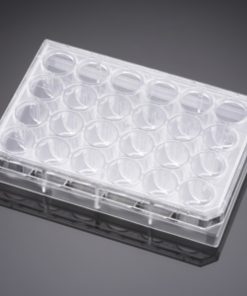 Falcon® 24-well TC-treated Cell Polystyrene Permeable Support Companion Plate; with Lid; Sterile; 1/Pack; 50/Case