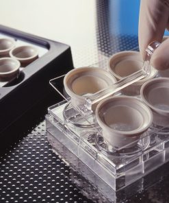 Netwell™ 6-Well Carrier Kit 24mm Inserts | Nonsterile