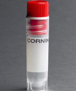 Corning® 2 mL Red Cap Internal Threaded Polypropylene Cryogenic Vial; Self-Standing with Round Bottom