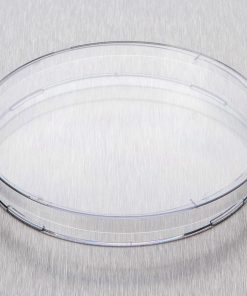 Corning® Gosselin™ Petri Dish 150 x 15 mm; 3 Vents; 11/Bag; 176/Case