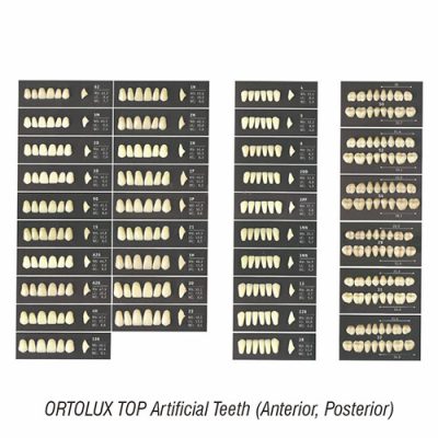 ORTOLUX TOP ARTIFICIAL TEETH (ANTERIOR)
