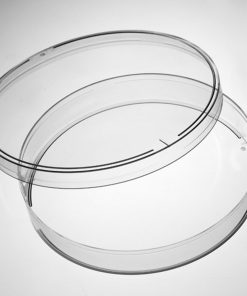 Corning® Gosselin™ Petri Dish 100 x 15 mm; 1 Vent; Aseptic; 28/Bag; 700/Case