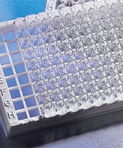 Corning® 96-well Stripwell™ Egg Crate Strip Holder