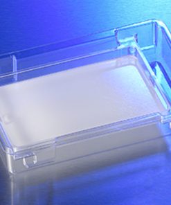 Corning Transwell Large Format Insert 100 cm² – Kultur Jaringan