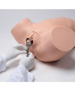 GAUMARD ZOE® S504.200 - Pelatih Keterampilan Ginekologi