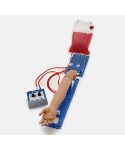 GAUMARD Lengan Pelatihan Pediatri IV dan Akses Arteri 5 Tahun S405.100