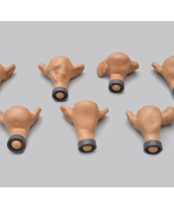 GAUMARD Rahim Normal dan Abnormal untuk ZOE® S504 (S504.1)