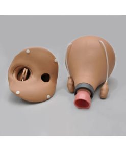 GAUMARD Rahim Pascapersalinan 48 Jam (S504.3)