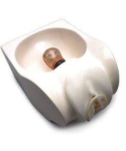 GAUMARD Model Kondom Wanita (S509)