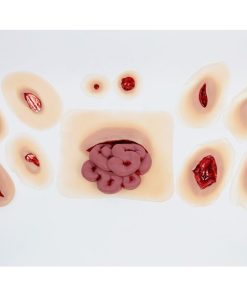 GAUMARD Kit Luka Trauma Dewasa (WK110)