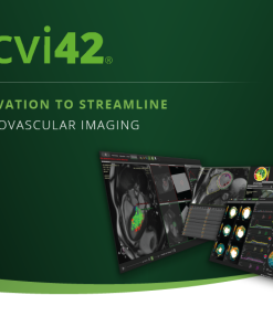 GE cvi42®