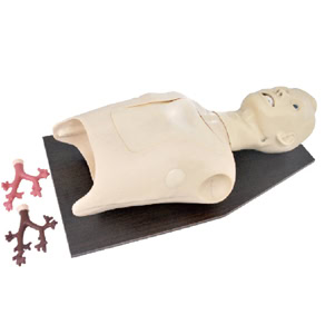 SIMULATOR ENDOSKOPI GASTROINTESTINAL