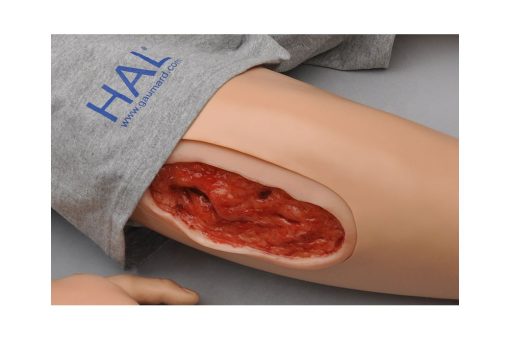 Manikin Perawatan Luka Tekanan