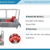 Intelligent Boots Washing Machine HE-HCDS12