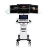 SonoRad V10 1 |
