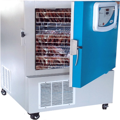 Plasma Freezer -86°C 420L