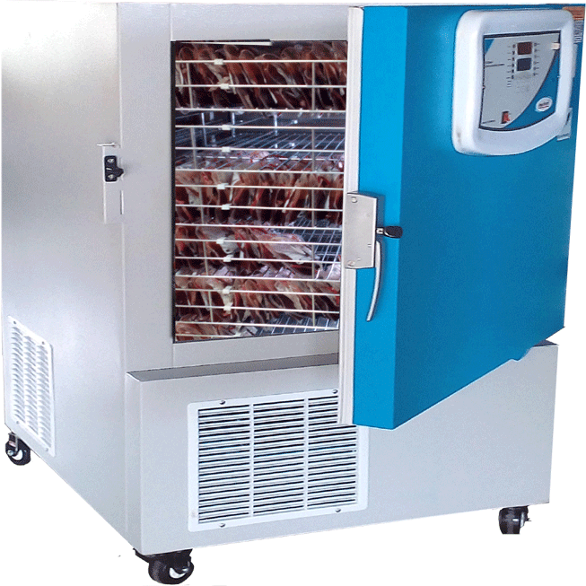 Plasma Freezer -86°C 420L