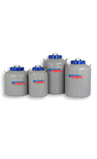 Cryogenic Storage System