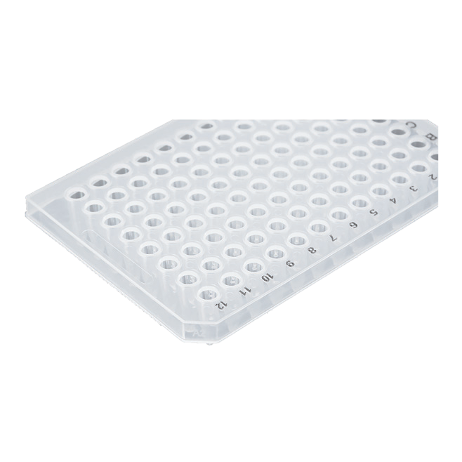 PCR 96-well plate details |