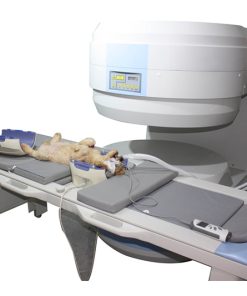 MRI Veteriner MT-35 | Alat Imaging Hewan Presisi Terpercaya