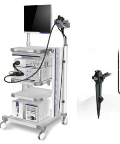 Vet Ent Camera Medical Endoscope System Endoscopy with Factory Price MTE-2801