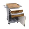 ABS Hospital Luxury Bedside Table Watermark - 480mm
