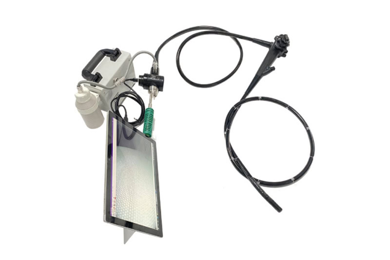 746fba4d-1bf0-460d-b9fa-b392dcb916ee |