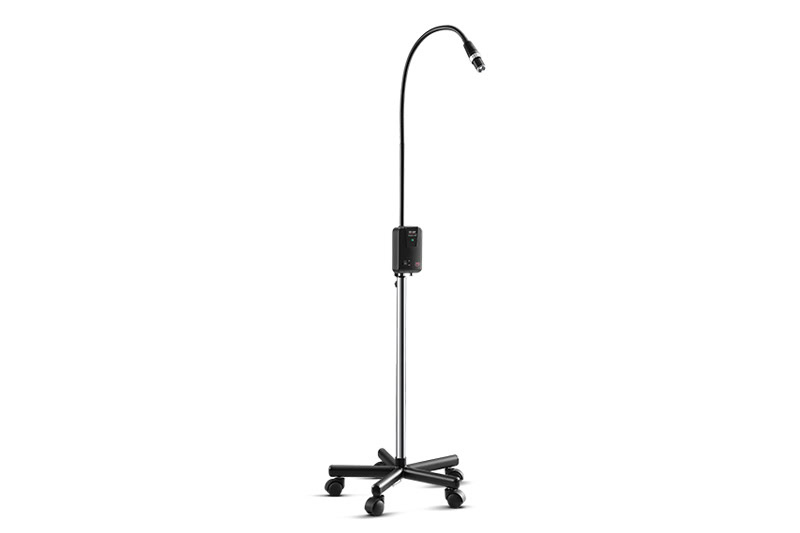 ce30efd0-ad1f-4ea9-bebe-b4546875e4bc |