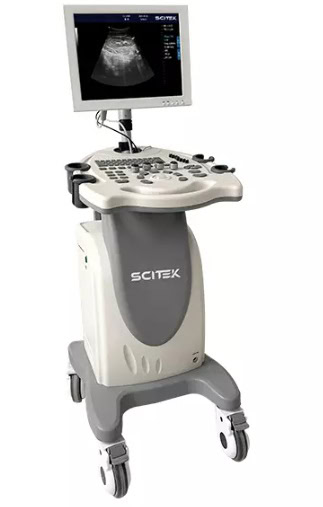 Full-digital Black and White Ultrasound Scanner |