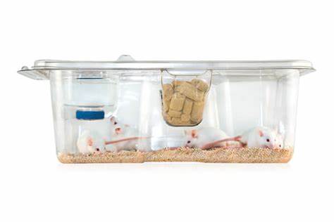 KEGUNAAN INNOCAGE MOUSE 1 Innocage Mouse