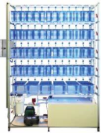 5 Shelf Single-Sided Zebrafish System