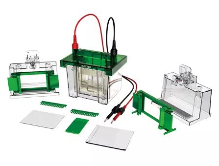 Vertical Electrophoresis Tank |