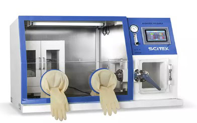 Anaerobic Chamber, ICB-3ANII |