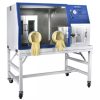 Economical Anaerobic Incubator
