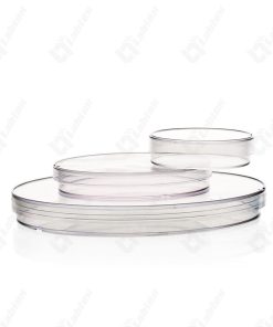 Petri Dishes