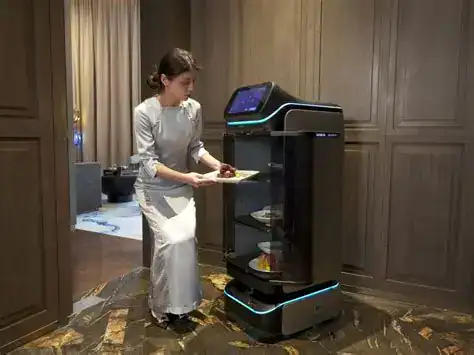 DINERBOT T3