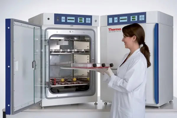 Direct Heat CO₂ Incubator