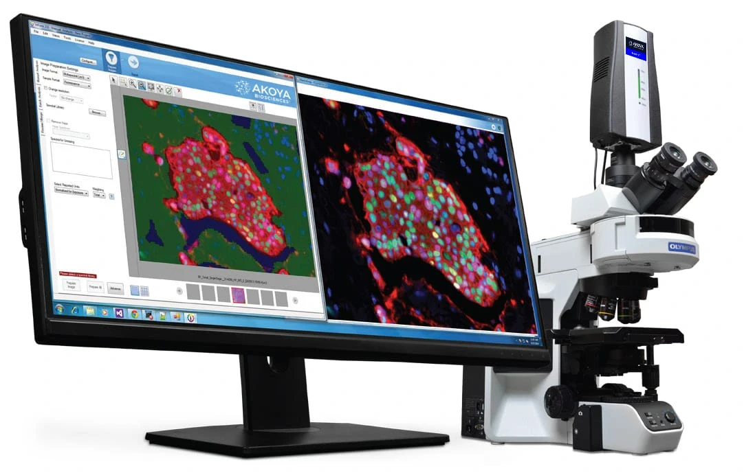kalibrasi Quantitative Pathology Workstation