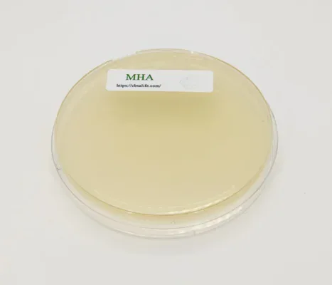 Mueller Hinton Broth Agar