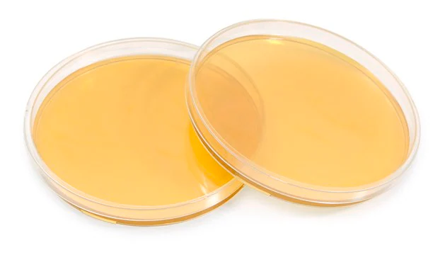 Tryptic Soy Agar