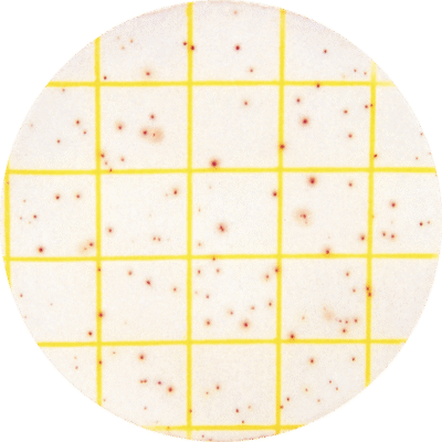 Aerobic Count Plate