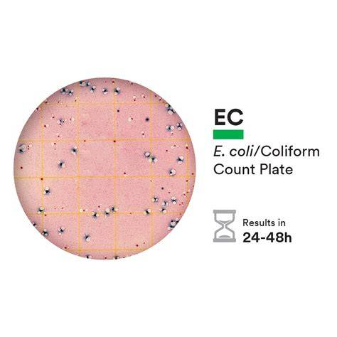 Cara Menggunakan Coliform Count: Panduan Lengkap 2024 1 Coliform Count