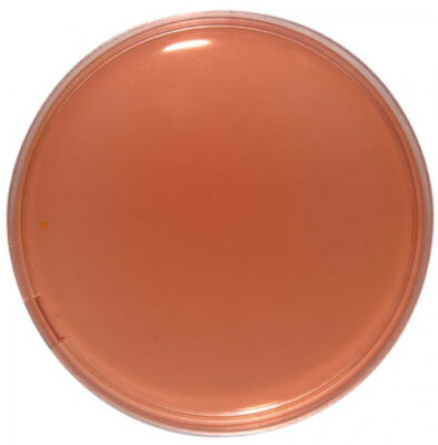 Desoxycholate Agar