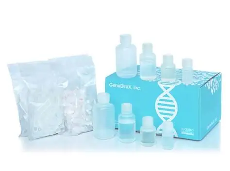 Dual Genomic DNA Isolation Kit Plant: Panduan Lengkap 2024 1 Dual Genomic DNA Isolation Kit (Plant))
