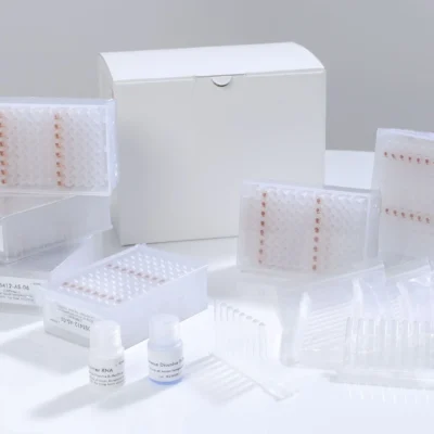 Magnetic Beads DNA/RNA Extraction Kit