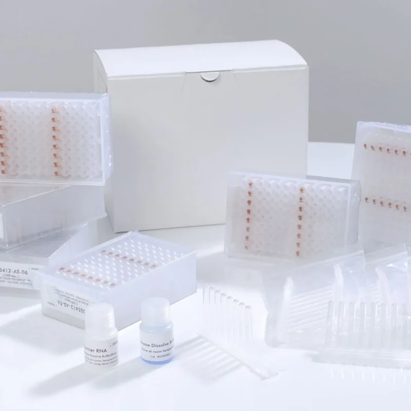 Magnetic Beads DNA/RNA Extraction Kit