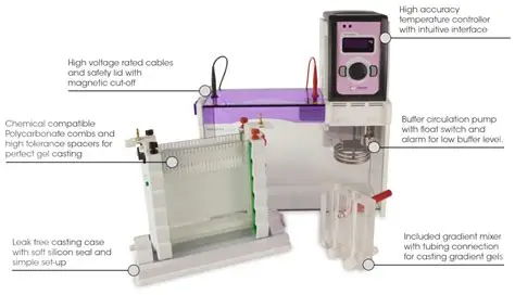 perawatan Denaturing Gradient Gel Electrophoresis