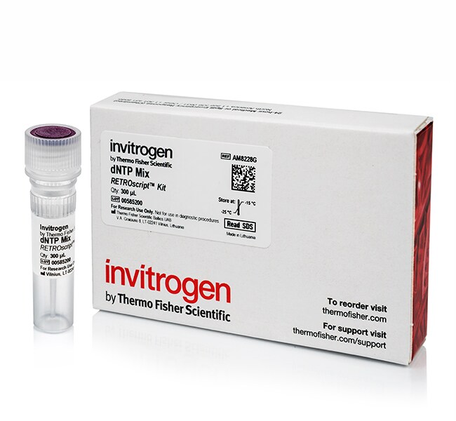 7 Fitur 2.5 mM dNTP Mix untuk PCR Terbaik 2024 1 2.5 mM dNTP Mix