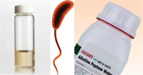 Alkaline Peptone Water
