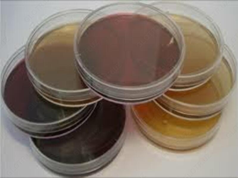 Toluidine Blue-DNA Agar